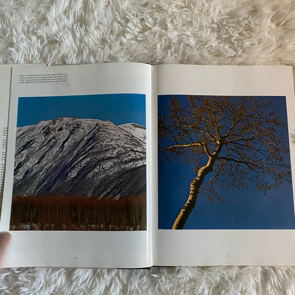 Alaska by Robert Reynolds (1971) - Large Coffee Table Book - Picture 5 of 9